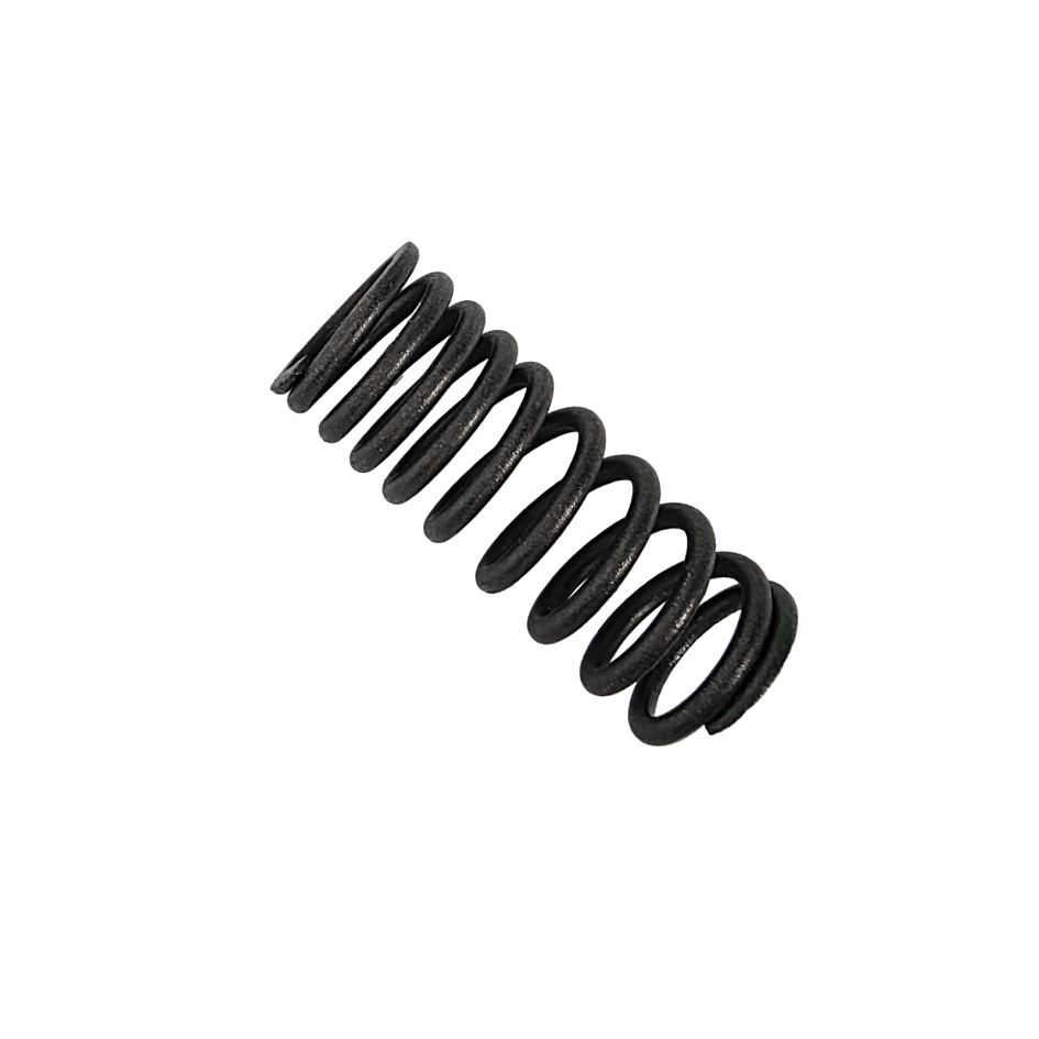 SWITCH 150 - RESORTE INTERNO D/VALVULA