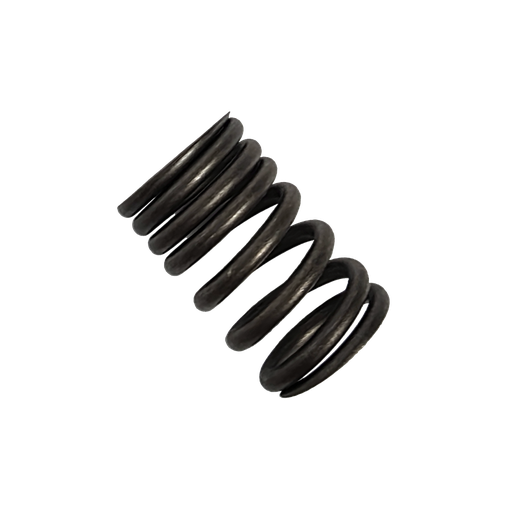 [BJX14755] SWITCH 150 - RESORTE EXTERNO D/VALVULA