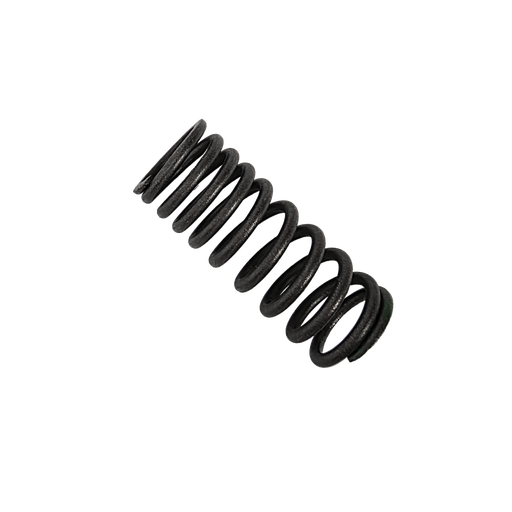 [BJX14756] SWITCH 150 - RESORTE INTERNO D/VALVULA